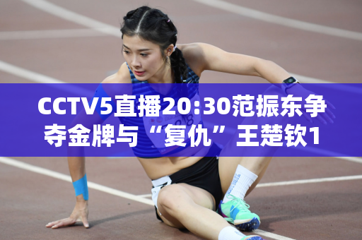 CCTV5直播20:30范振东争夺金牌与“复仇”王楚钦19:30铜牌比赛